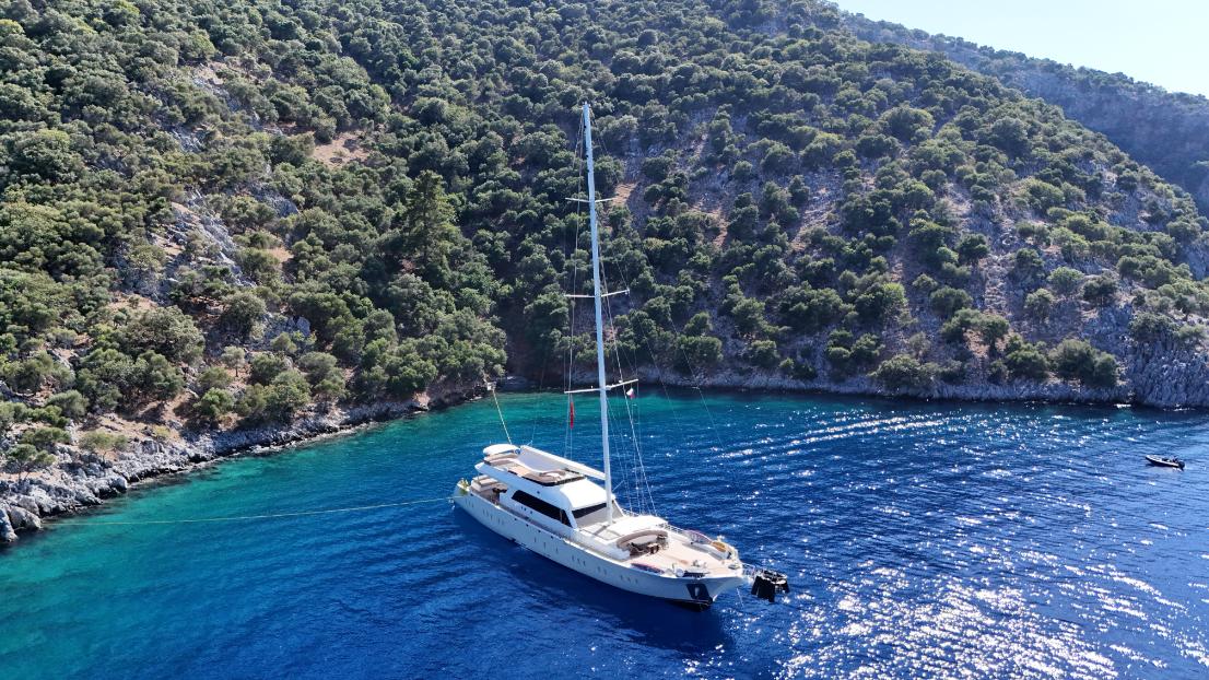 Yacht à moteur et à voile « Dodo »